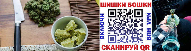 где найти наркотики  Снежногорск  Cannafood конопля 