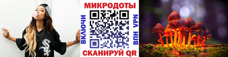 где купить наркоту Снежногорск Галлюциногенные грибы Psilocybine cubensis